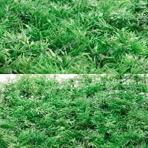 Искусственный газон 25х25см, NA1528