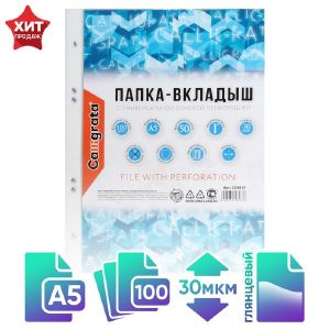 Файл-вкладыш А5, 30мкм Calligrata, глянцевый, вертикальный, 100 штук
