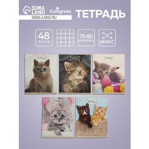 Тетрадь 48л кл Милые котята, обл мел карт хром, блок №2 бел. 75%, 5вид. МИКС