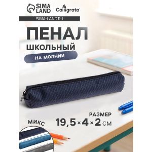 Пенал школьный на молнии  Джинс МИКС