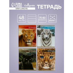 Тетрадь 48л кл Дикие кошки, обл мел бум, блок №2, 4вид. МИКС