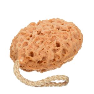 Губка гипоаллергенная Б-Ш 10х8х4,5 см