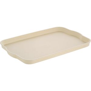 [SE112510001] Поднос Sugar&Spice Honey 32x21x2 см шампань