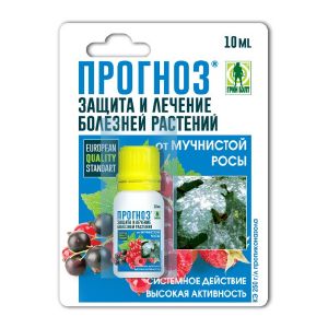 Средство для защиты ягодных культур Фунгицид ПРОГНОЗ от мучнистой росы 10 мл