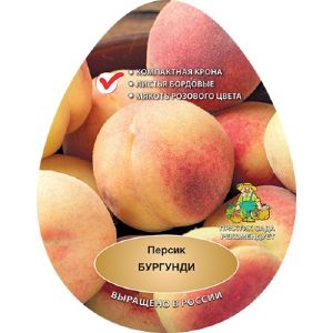 Персик Бургунди/С