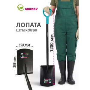 Лопата штыковая, сталь, 198х288х1200 мм, Grandy, профессиональная, для бордюров с черенком