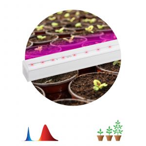 Светильник линейный для растений ЭРА PROM FITO-9W-T5-N
