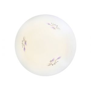 Светильник 12 Вт LED CAMELION LBS-0301 4500К (12678)
