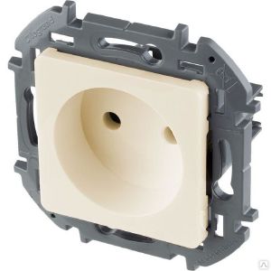 Мех. розетки 1-м СП Inspiria 16А IP20 250В 2P сл. кость Leg 673711