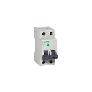 Авт. выключатель 2п C 10А 4.5кА EASY9 =S= SchE EZ9F34210