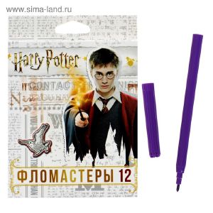 Фломастеры 12 цветов, «Гарри Поттер», картонная коробка, с европодвесом