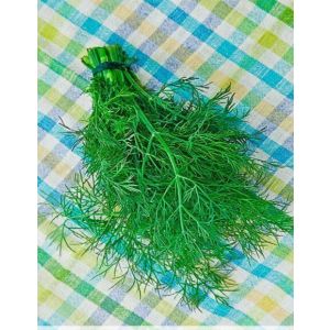 Укроп Обильнолистный 3 гр цв/п (Р)