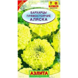 Бархатцы Аляска Аэлита Ц