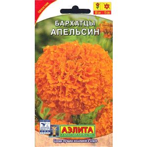 Бархатцы Апельсин Аэлита Ц