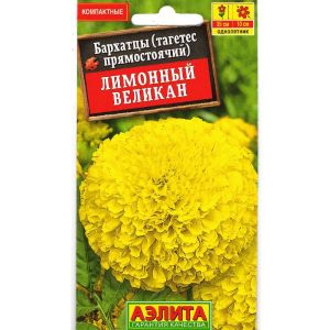 Бархатцы Лимонный Великан Аэлита Ц