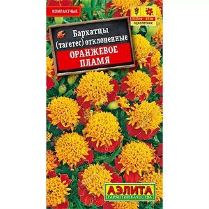 Бархатцы Оранжевое пламя Аэлита Ц